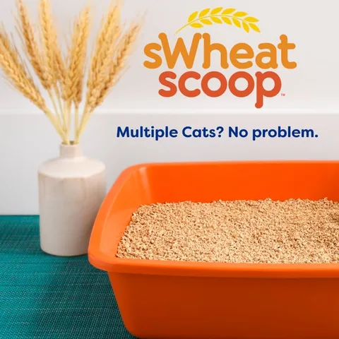 Petco static image ad: All natural cat litter without compromise. Clumps faster, scoops easily, and smells like a fresh wheat harvest.