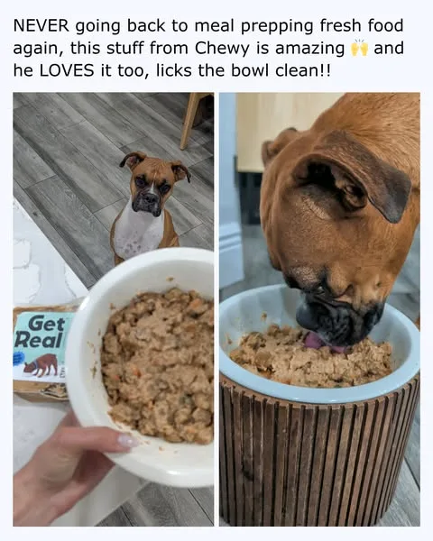 Chewy static image ad: No meal prep required. Get Real by Chewy is pre-portioned, easy to serve, and made with simple, wholesome ingredients.