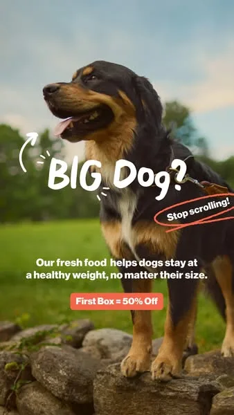 The Farmer's Dog static image ad: Big dog owners, may we have your attention :eyes:. Fresh food from The Farmer’s Dog helps all dogs, even those the size of mini-horses, achieve a…