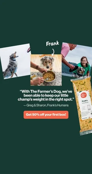 The Farmer's Dog static image ad: Every human-dog bond is special, unique, one-of-a-kind. Celebrate yours and get 50% off your first box.