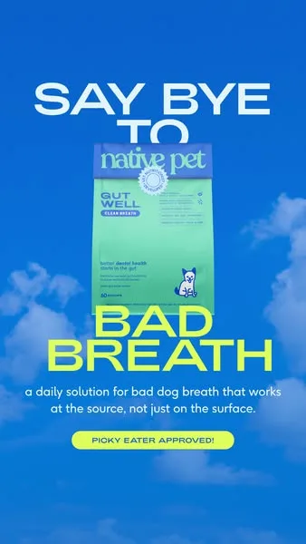Native Pet product showcase ad: Tried the chews. Tried the toothbrush. Tried the water additive. Still getting hit with that smell every time they go in for a kiss.