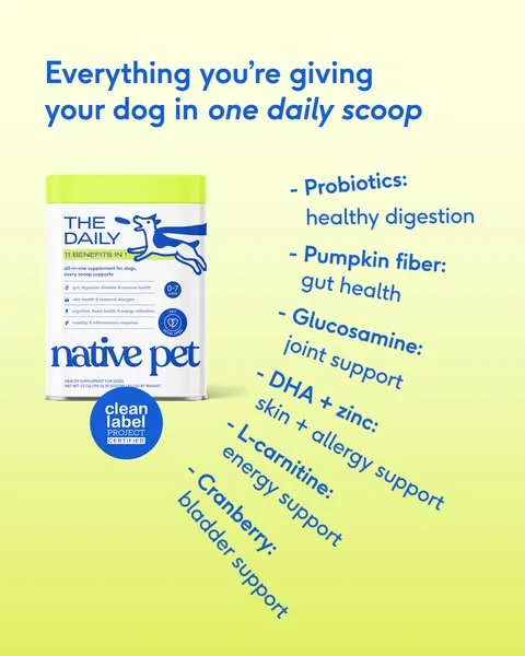 Native Pet product showcase ad: You love them like family. This is how you show it.