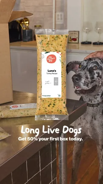 The Farmer's Dog static image ad: Feeding real, fresh food has real, healthy benefits for dogs. Get 50% off your first box and give your dog a fresh start.