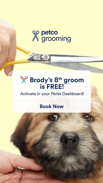 Petco offer / promotion ad: New do, big flex ✌️ Your pup’s 8th groom is on us when you activate in your Perks Dashboard today!