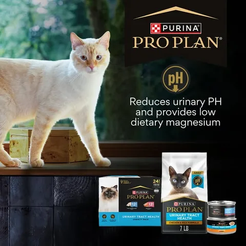 Chewy static image ad: Try Pro Plan Urinary Tract Health at Chewy to help lower urinary PH and maintain a healthy level of dietary magnesium.
