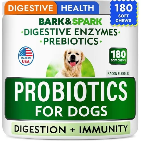 Chewy static image ad: Struggling with your dog’s digestion? 🐕💔