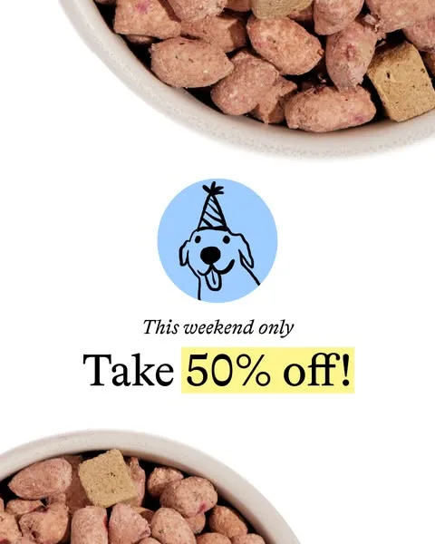 Spot & Tango static image ad: Take 50% OFF your first trial + Personalized Plan for Your Pup!