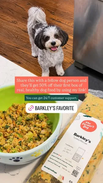 The Farmer's Dog static image ad: Switching to real food is easier than you think. And it has real benefits for your dog. Get 50% off your first box when you sign up today.
