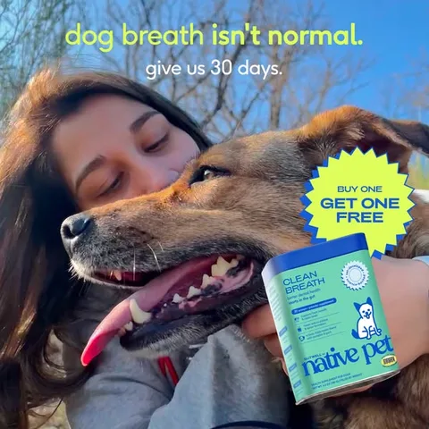 Native Pet static image ad: You love them like family. This is how you show it.
