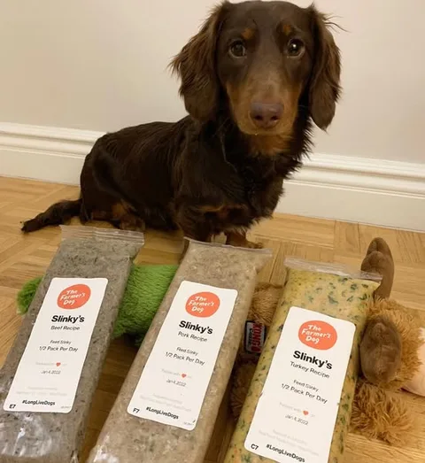 The Farmer's Dog static image ad: Dog food should be food, not burnt brown balls. Switch to a smarter, healthy pet food today and get 50% off your first box.