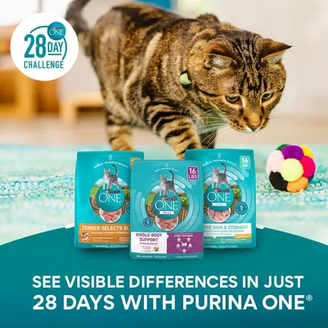 Chewy static image ad: Make the switch to Purina ONE and see visible differences in your cat in just 28 days—available at Chewy.