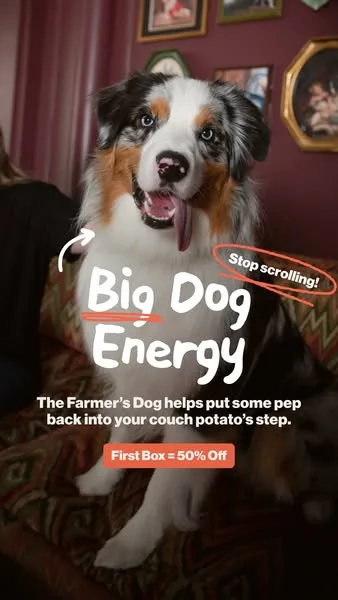 The Farmer's Dog static image ad: Big dog owners, may we have your attention :eyes:. Fresh food from The Farmer’s Dog helps all dogs, even those the size of mini-horses, achieve a…