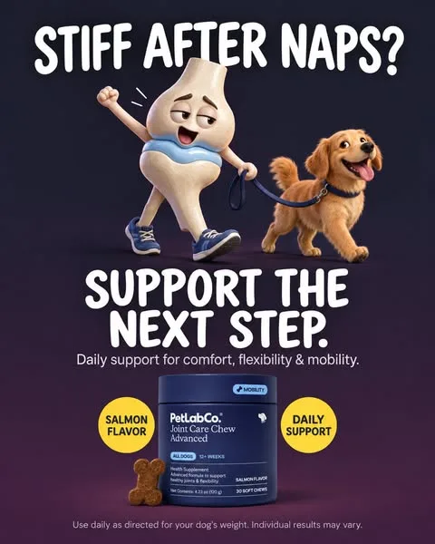 PetLab Co. product showcase ad: Join a global community of dog owners who trust PetLabCo.® for their dog's joint health.